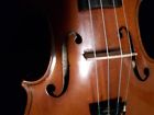 804a Roderich Paesold Rare Violin Bow Case And Accessories