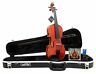 825232516927 Dluca Strauss Concerto Violin With Skb Molded Case