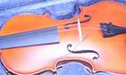 82822 Hammacher Schlemmer The Learn To Play Violin Soild Wood Instructional