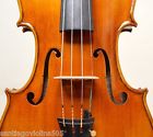 900e Santiago Violins Violin Stradivarius Model 900 Great Powerful Tone