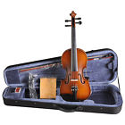 Ve102b Acoustic Rosin Aileen 4 Case Eq Bow Strings Foamed Violin Electric