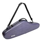 Csv-f18 Aileen Violin Hard Case 4/4 Full Size Luxury With Hygrometer