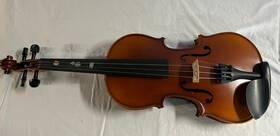 Vg107-24 Aileen Solidwood Ebony Students Beginners Violin