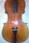 Amati Ladies Size Violin Nikolous Dark Brown