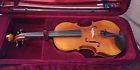 Ap20 Nicolas Parola 16 Viola