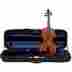 Artist1 Ren Wei Shi Artist Model 1 Violin With Arcolla Bow Bellafina Euro Case 889406124608