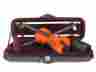 Avl-250 Tygenn Usa Violin W Case Bow Package 5-year Warranty