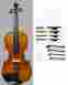 Avl-100 Avl100 Tygenn Usa Made Violin With Case Bow Package 5 Year Warranty 4 Size 702646994469
