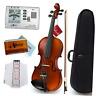 Avl13h-g-44 Premium Beginner Series Violin Outfit Full Size Solid Wood Ebony