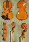B0969 Gliga Shiny Antiqued Very Small
