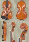 B1936 Stradivari Gliga New 1 10 Child Size Intermediate Level Gems Antiqued Violin