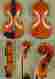 B9875 Stradivari Gliga Half Size 1 2 Intermediate Level Gems Violin