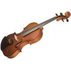 Barcus Berry Bar-aev Vibrato-ae Series Acoustic-electric Violin Natural W Case 077091980092