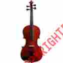 Bevia1012of Bellafina Educator Series Violin Outfit 1 2 Size 888365077567