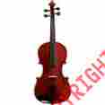 Bevia1014of Bellafina Educator Series Violin Outfit 1 4 Size 888365077543