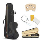 Bm-001 Apelila Full Size Violin Natural Acoustic Fiddle Spruce 699915896060