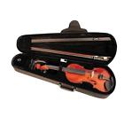 Bwl12e4ch Lewis 4-4 Size William 641064824920