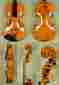 C0924 Stradivari Gliga Handmade 3 4 Flamed Maple Maestro Vasile Violin C0924 Stradivari Gliga Handmade 3 4 Flamed Maple Maestro Vasile Violin
