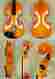 C1346 Gliga Stradivari 1 4 Child Intermediate Level Gems Violin C1346 Gliga Stradivari 1 4 Child Intermediate Level Gems Violin