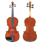 Ca01ap Dluca Mother Of Pearl Inlaid Ebony Violin Outfit 825232551720