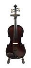 Ccvn-44 Glasser Carbon Composite Acoustic Violin