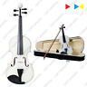 Ch00aa00a56 Captaiinhera New Full Size Acoustic Violin Fiddle White 879311421411