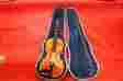 Cp1014363 Andrew Schroetter Violin 420 3 4 Anno 2000 Ser 37108 With Hardcase A