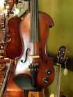 Crev301 Acoustic Electric Violin With Unique Body