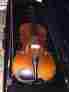 Crv80016x Carlo Robelli Viola Outfit 16