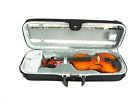 Cs135vn1-2 Corde Di Salice Advanced Beginner Violin Package Terzo