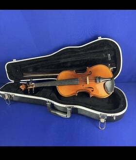 D008972 Devonshire Violin 3/4 -serial