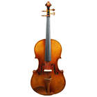 Dg450-vnc West Coast Strings Dario