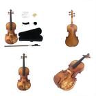 Dh003 Kinglos Flower Carved Ebony Fitted Solid Wood Violin 701056503988