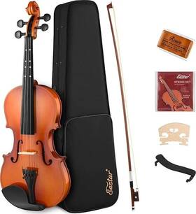 Eb0213 Eastar Eva-2 4/4 Violin Package