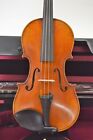 Eavl601st Eastman Albert Nebel Violin