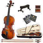 8cvn-300 Ebony Shoulderrest Violin 8 1 Case Cecilio Size Orchestra Fitted