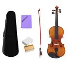 Emr8504069610202sq Ammoon Size 3-4 Violin 759218903084