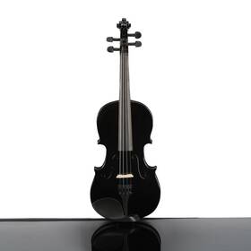 Epofit 710694949713 3/4 Beginner Violin Kit Complete Set With Case Bow Rosin Black