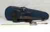 Ev-30 Electric Sbk Halstatt Black Case Violin Satin