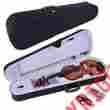 F4200 Fugue Concert Violin 4 3 1 2