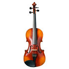 F927 The Red Violin Bruno