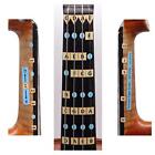 Fantastic Finger Guide For Violins Stringed Musical Instruments Fingerboard