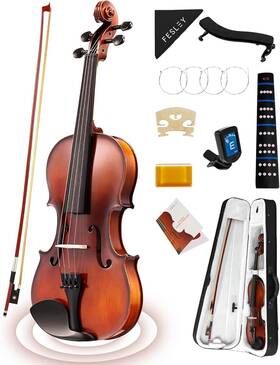 Fvp01m Fesley Acoustic Violin Fiddle Full Set With Hard Case 4/4 - Matt Finish