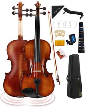 Fvp02 Fesley Violin 4/4 Full Set Flame Maple Solid Wood Fiddle Violins With Hard Ca