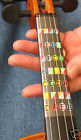 Ffg4-4 Fretless Finger Guides Learn