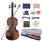 Fsi4809100380567fd Ammoon Full Size Acoustic Electric Violin With Bow 635946824092