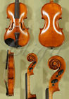 Gliga New Child Student Level Gems Violin Stradfivari