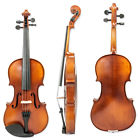 Guumuh-cjsvns31 Guumuh S31 Pupil Violin 661646023886