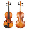 Gv300 Glarry Acoustic Violin Grained Maple Strings Steel Beginners Matte Case