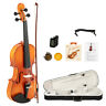 Gv303 Glarry Pro Violin Spruce Top Ebony Fittings With Case Strings